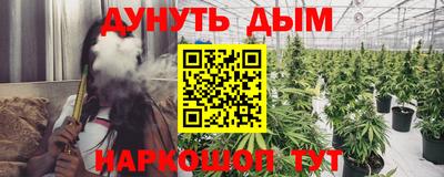 каннабис Кингисепп