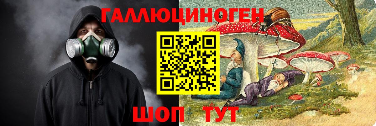 Кудымкар  Галлюциногенные грибы MAGIC MUSHROOMS  Вход с VPN 