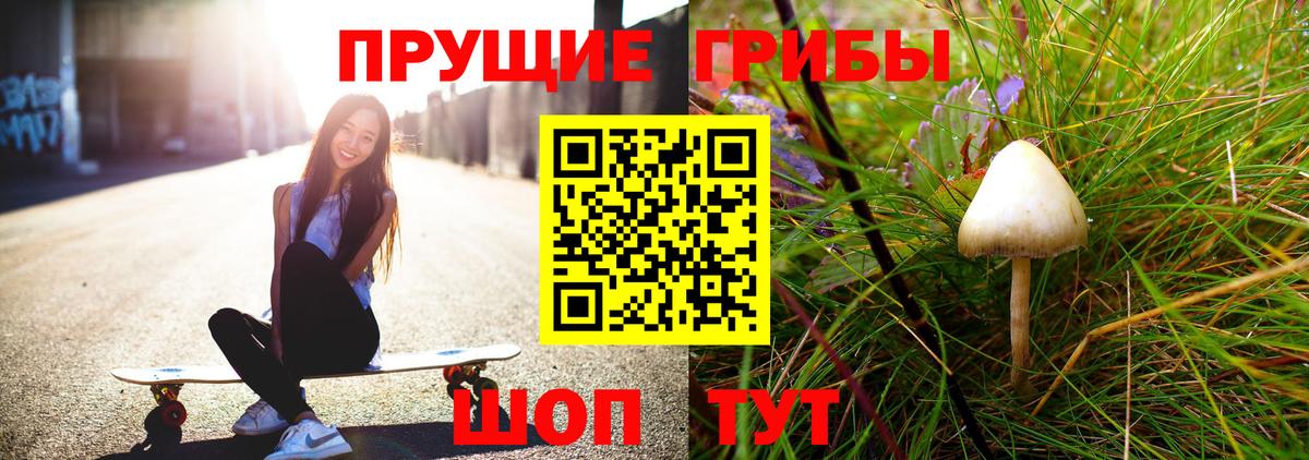 НБОМе Кудымкар
