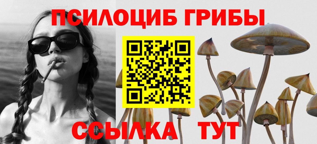 Псилоцибиновые грибы Cubensis Кудымкар